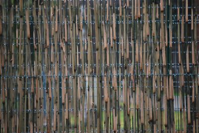 Full frame shot of bamboo fence