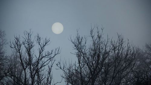 Low angle view of moon in sky