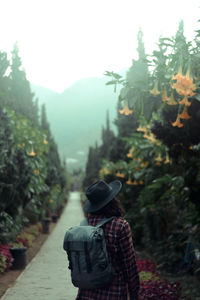 Rear view of man standing by plants