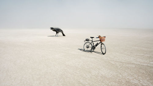 Bicycle on horse against sky