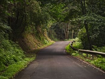 Empty road amidst trees in forest