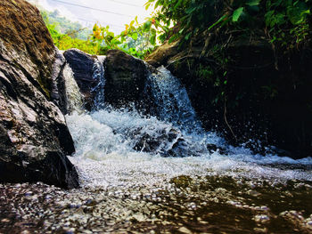 Scenic view of waterfall in forest