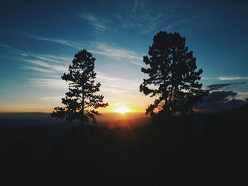 Silhouette trees against sky during sunset