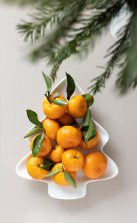 Close-up of orange fruits in plate