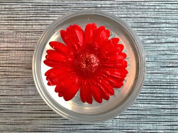 High angle view of red hibiscus