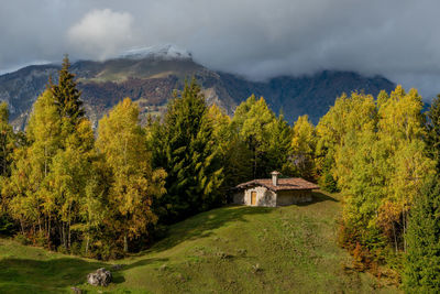 Scenic view of trees and houses against sky