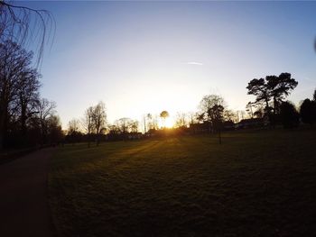 Silhouette of trees on field against sky