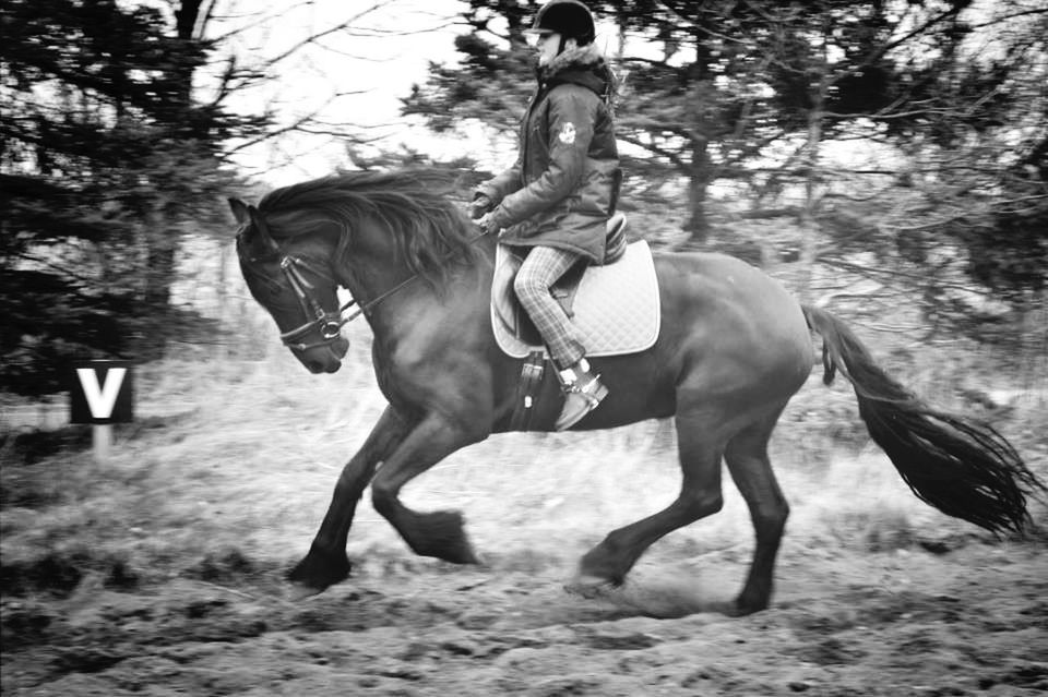 full length, lifestyles, leisure activity, tree, casual clothing, rear view, walking, standing, animal themes, men, side view, day, nature, outdoors, enjoyment, horse, field, one animal