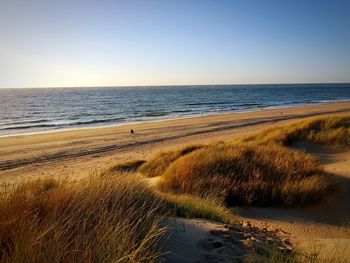 Idyllic shot of beach and sea against sky during sunset