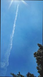 Low angle view of trees against blue sky
