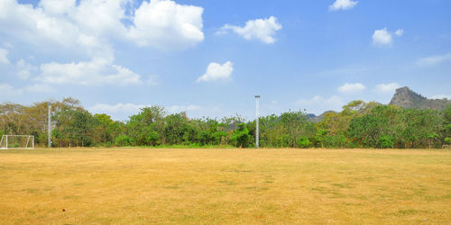 Trees on field against sky