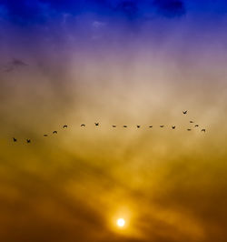 Low angle view of birds flying in sky