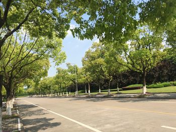 Road by trees against sky in city