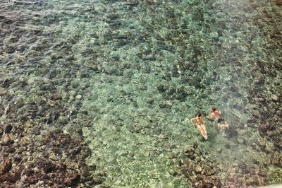 High angle view of man swimming in sea