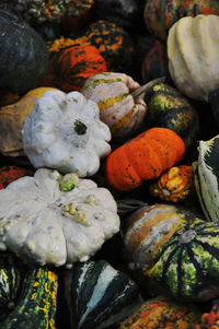 High angle view of pumpkins for sale at market