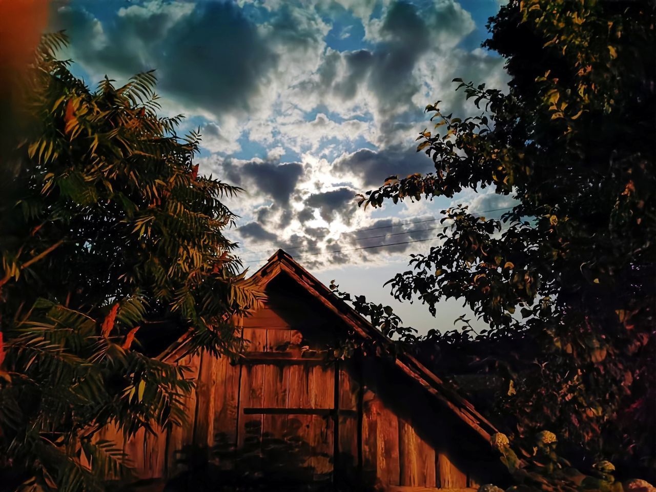 LOW ANGLE VIEW OF BUILDING AND TREES AGAINST SKY