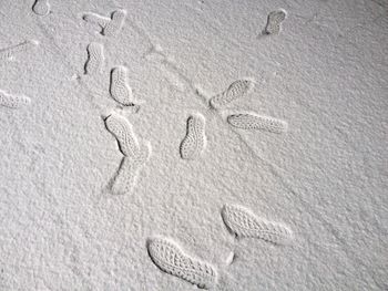 Footprints on sandy beach