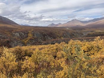 Scenic view of landscape against sky. tombstone park yukon territory