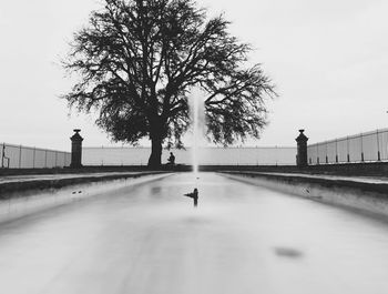 View of fountain against tree