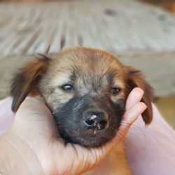 Portrait of person with dog