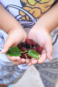 Midsection of woman holding fruit