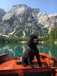 Dog sitting on boat against mountain