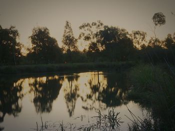 Reflection of trees in lake