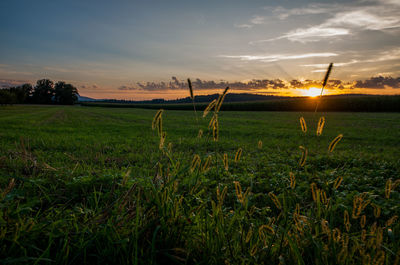 Scenic view of field against sky during sunset