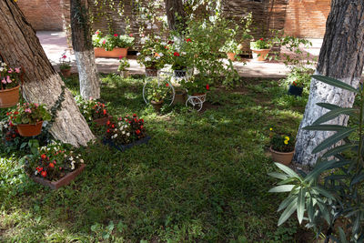 High angle view of potted plants in garden