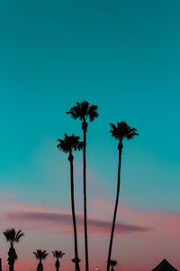 Low angle view of silhouette palm trees against blue sky