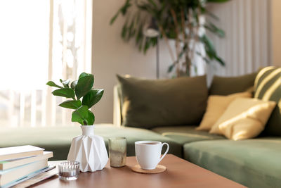 Potted plant on table at home