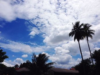 Low angle view of palm trees against cloudy sky