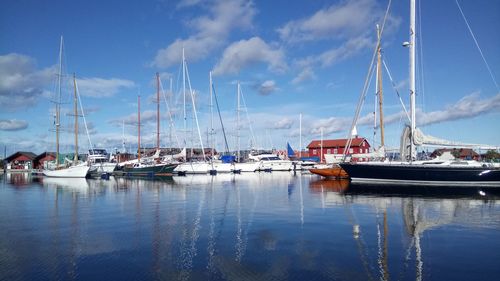 Sailboats moored in harbor