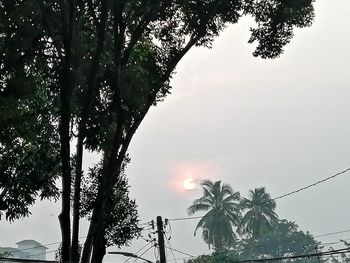 Low angle view of silhouette palm trees against sky