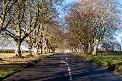 View of country road along trees