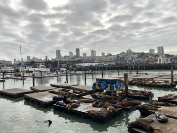 Boats moored in river by buildings in city against sky