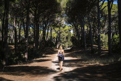 Rear view of woman walking in forest