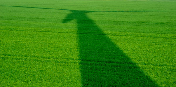 Shadow of person on grassy field