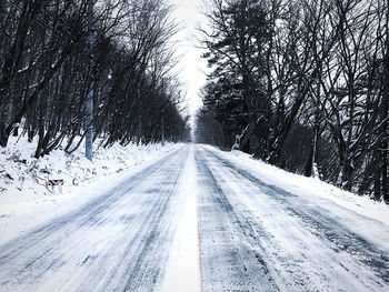 Snow covered road amidst trees during winter