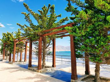 View of trees on beach
