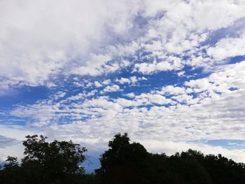 Low angle view of trees against sky