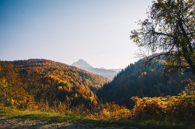 Scenic view of landscape against sky during autumn