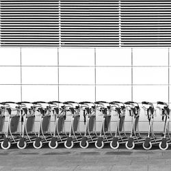 Row of trees in the dark