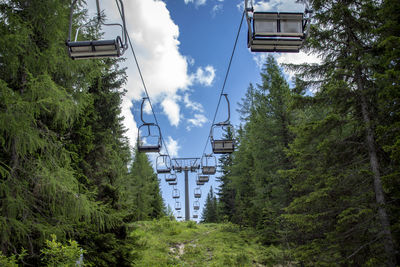 Bridge amidst trees in forest against sky