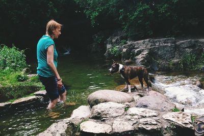 Dog standing on rock
