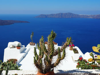 Scenic view of sea against blue sky