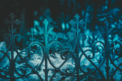 Close-up of metal fence against plants at night