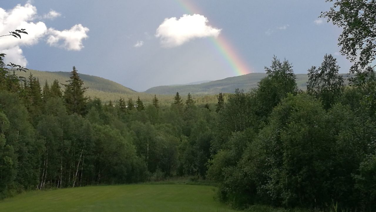 tree, mountain, sky, tranquil scene, tranquility, landscape, scenics, beauty in nature, nature, green color, sunlight, growth, mountain range, sun, grass, idyllic, cloud - sky, non-urban scene, sunbeam, cloud, hill, outdoors, no people, remote, day, grassy, lush foliage, plant, green, sunny, non urban scene, blue, rural scene