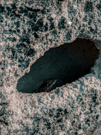 Close-up of a rock