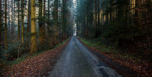 Road amidst trees in forest during autumn